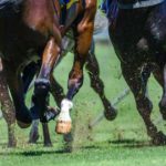 NYRAbets Michigan license approved for horse racing